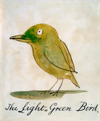 The Light Green Bird, from 